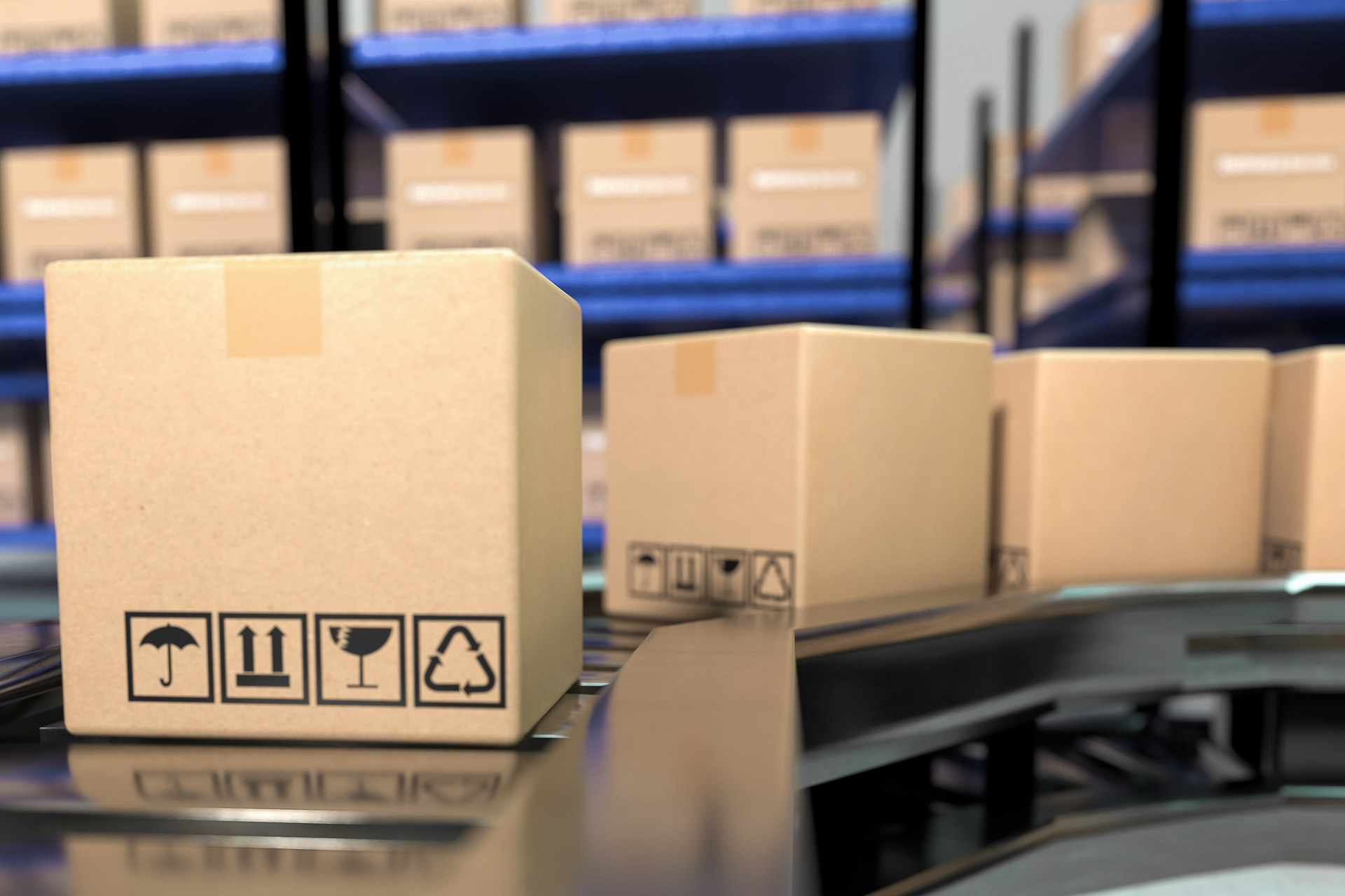 EC事業（オンラインセレクトショップ運営）